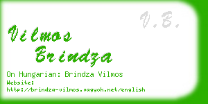 vilmos brindza business card